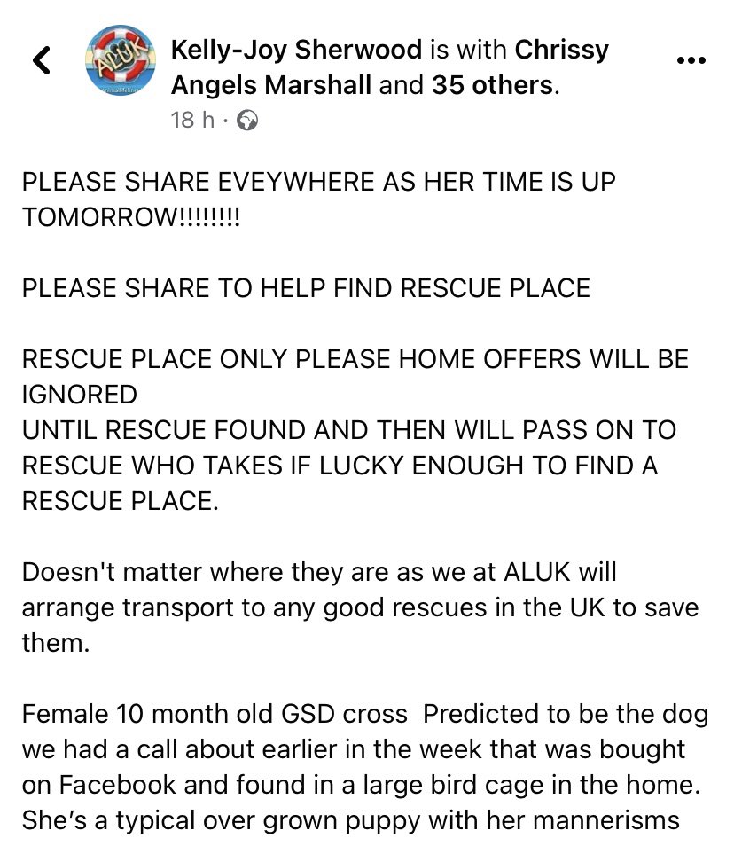 scanme_tukslaw's tweet photo. 🆘 10 month old GSD puppy to be euthanised today 

Please urgently share and contact the original post via the blue link below 👇 

https://t.co/MUBMO8N0Js

#TuksLaw

Sign Petition 👇

https://t.co/s1kX3yxmco https://t.co/SruQMLWNfR