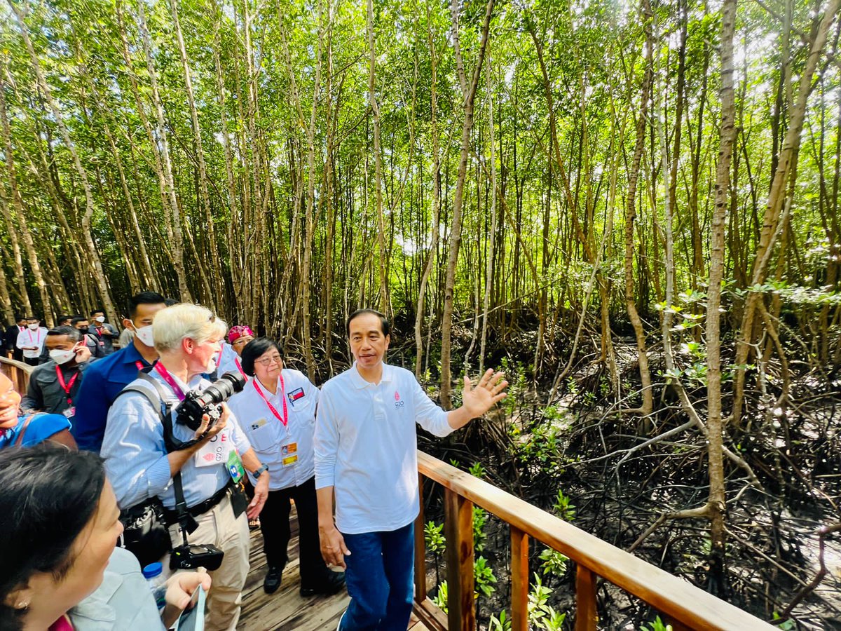 kemenhut_ri's tweet photo. Mangrove Indonesia Untuk Dunia. 
Bangkit Lebih Kuat, Pulih Lebih Cepat. Salam Lestari. 

#G20Indonesia
#G20Updates
#GotongRoyong20
#KLHK
#G20Indonesia
#KTTG20
#G20
#MangroveIndonesiaUntukDunia https://t.co/u7I6evTnzI