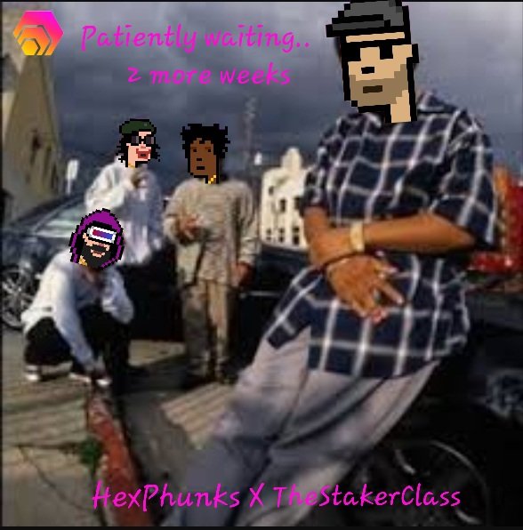 HEXMONGER's tweet photo. $hex #hex #hexnft #nft #crypto #defi
#HexPhunks #TheStakerClass
@RichardHeartWin
@THESTAKERCLASS
@HexPhunks
@HEXcrypto https://t.co/syfOUp9J3F
