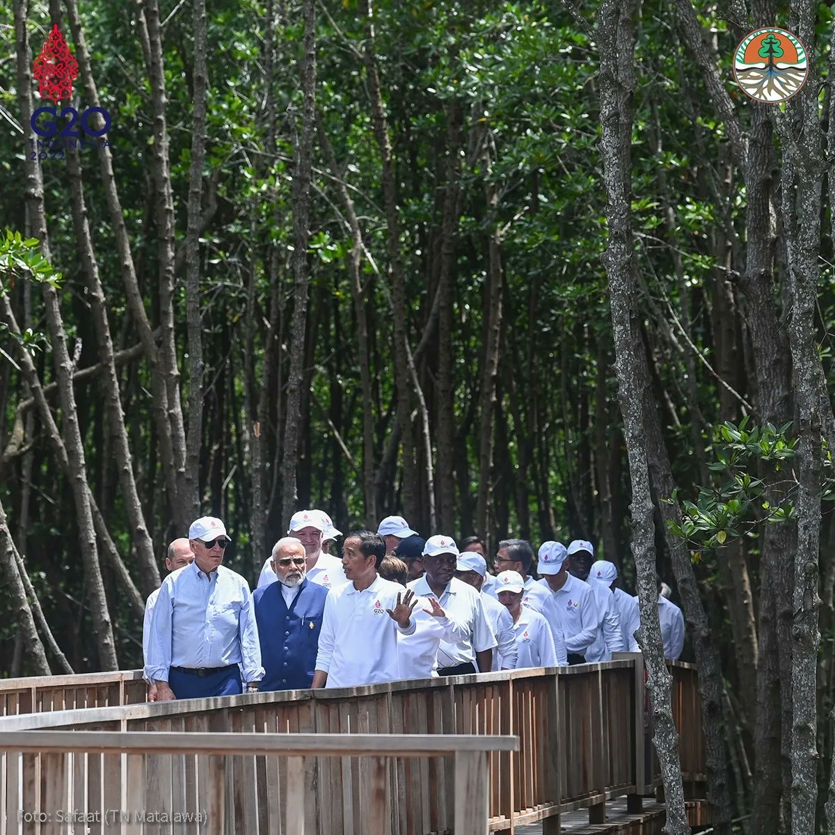kemenhut_ri's tweet photo. Sobat Hijau, Presiden @jokowi menyampaikan betapa pentingnya #mangrove kepada para pemimpin negara anggota G20 dan pimpinan organisasi internasional, dengan menanam mangrove saat rangkaian KTT G20 Indonesia di Tahura Ngurah Rai, Bali. (16/11). 

#klhk
#G20Indonesia 
#KTTG20 https://t.co/K70FXEQkrf