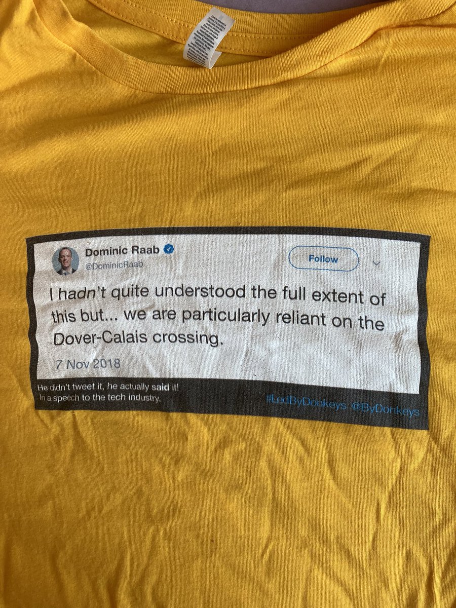 riotgrandma72's tweet photo. @woodgnomology I have the actual t shirt! #raab #pnqs #politicslive https://t.co/rqZamztKyd