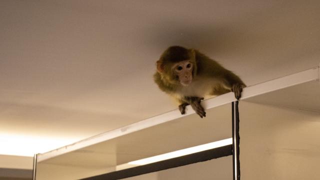 DarkWeb Haber tweet media