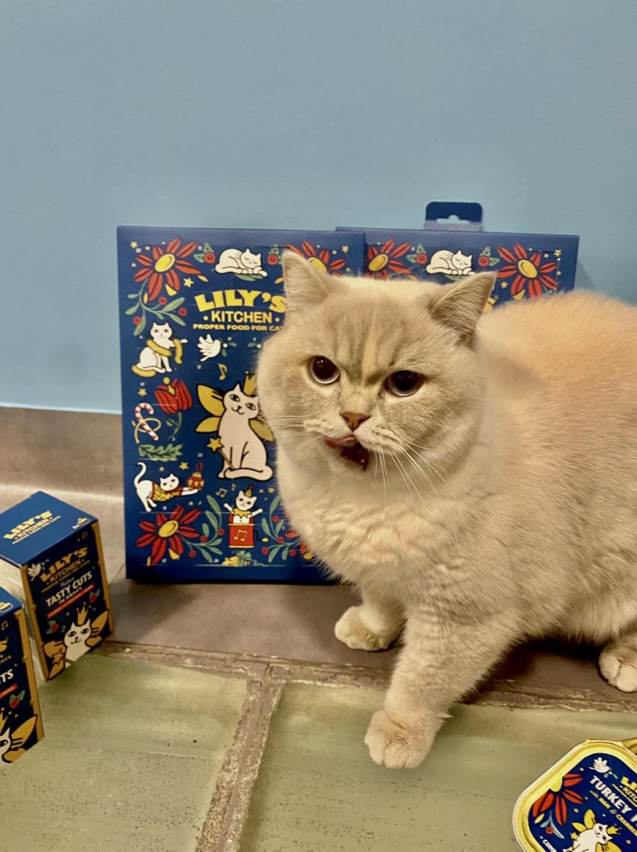 ARISTIDEhotel's tweet photo. 🎁🍗 Comment ça J-15, tu te fous de moi ?! Ouvre-moi ce calendrier tout de suite🤤 
Les calendriers de l’avent @lilyskitchen font leur comeback au corner boutique @ARISTIDEhotel ! Passez-vite prendre le sien si vous ne voulez pas avoir de gros gros problèmes 😈 https://t.co/GAlZX0y9R3