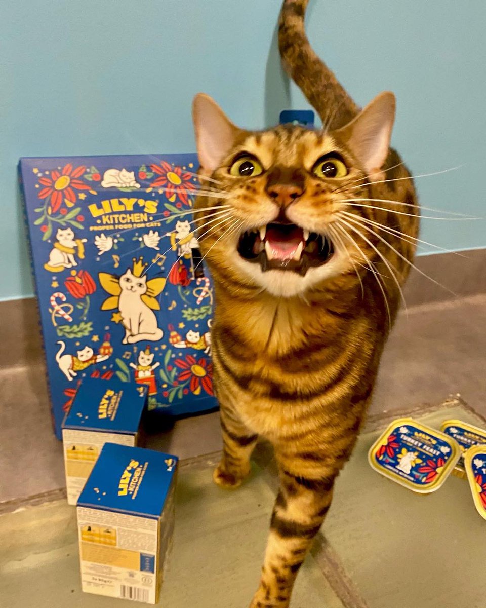 ARISTIDEhotel's tweet photo. 🎁🍗 Comment ça J-15, tu te fous de moi ?! Ouvre-moi ce calendrier tout de suite🤤 
Les calendriers de l’avent @lilyskitchen font leur comeback au corner boutique @ARISTIDEhotel ! Passez-vite prendre le sien si vous ne voulez pas avoir de gros gros problèmes 😈 https://t.co/GAlZX0y9R3