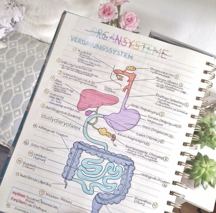 MedDescomplica1's tweet image. Macetes de biologia para o Enem: