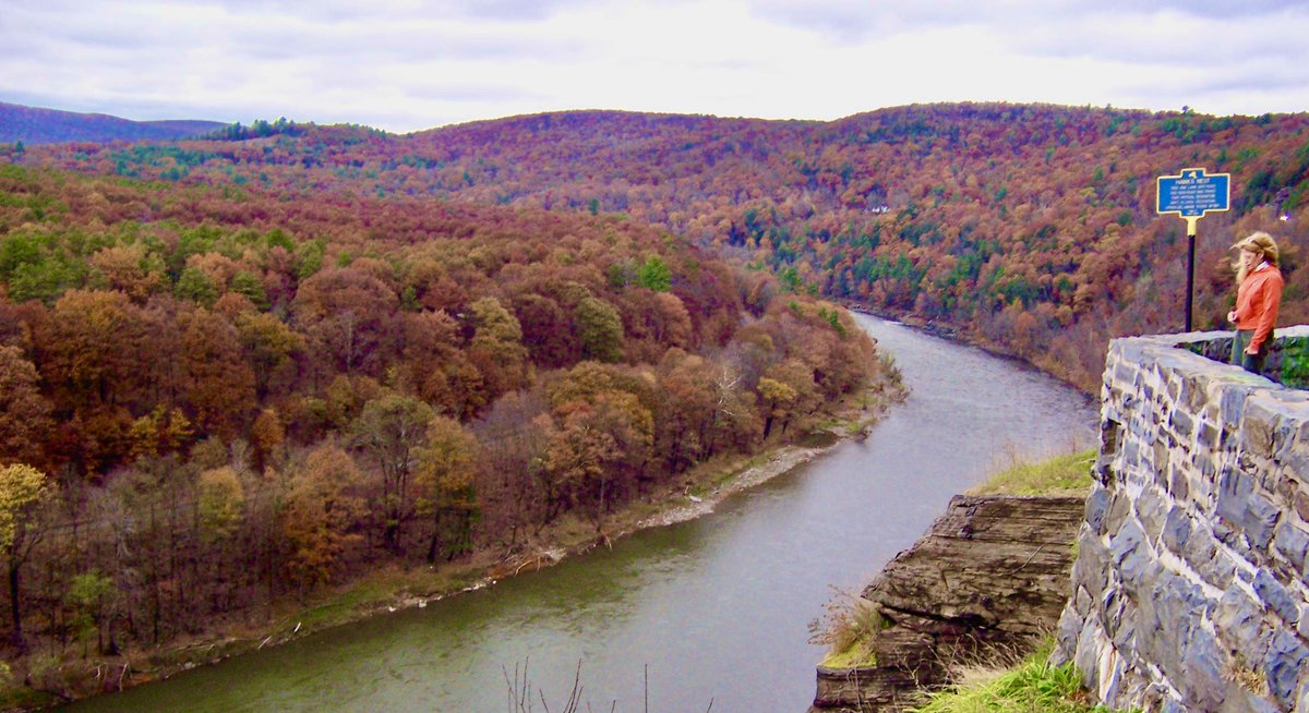 Coyote Blues tweet media