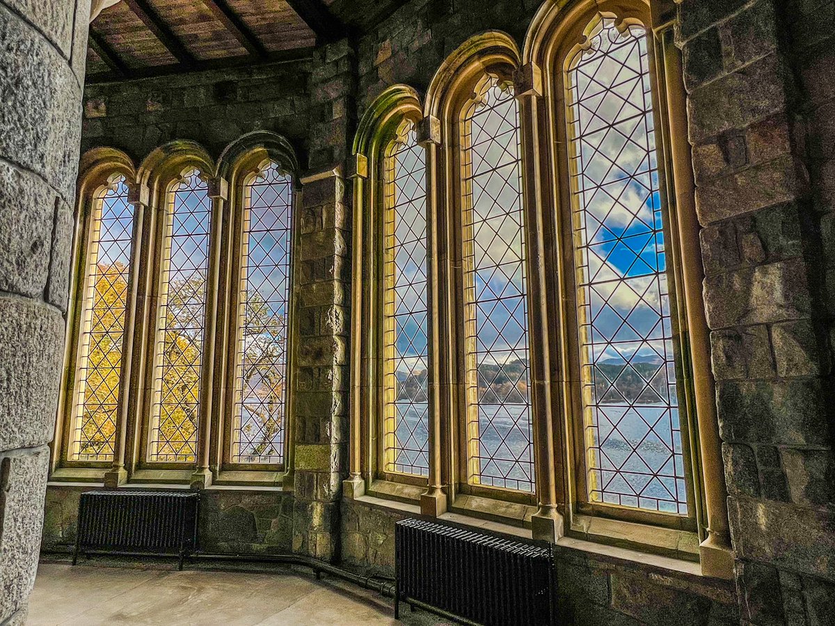 Nick Ray tweet media