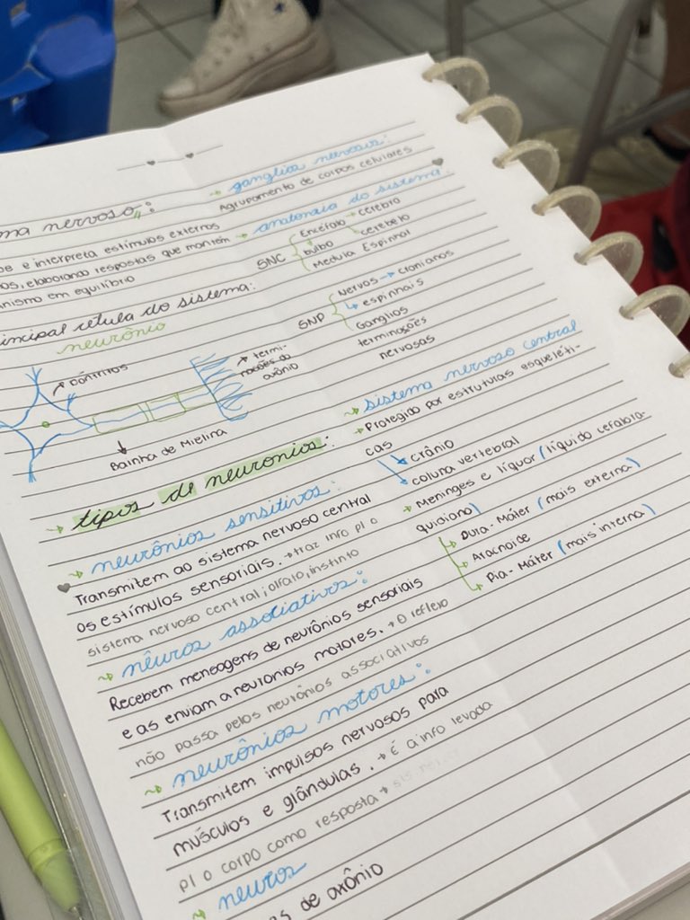 physimary's tweet image. esse resumo lindo sobre o sistema nervoso