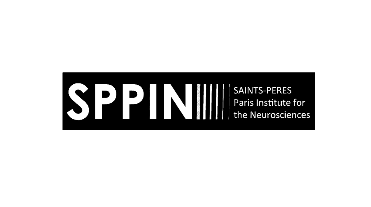 nico_panayotis's tweet photo. Le #SPPIN https://t.co/KyLheBZZfe @univ_paris_cite accueille dès que possible, en mobilité, un.e ingénieur.e de recherche CNRS (H/F) en instrumentation et microscopies optiques (sous forme d’un NOEMI).
https://t.co/J8FfFxtZIc https://t.co/viqdjObNcb