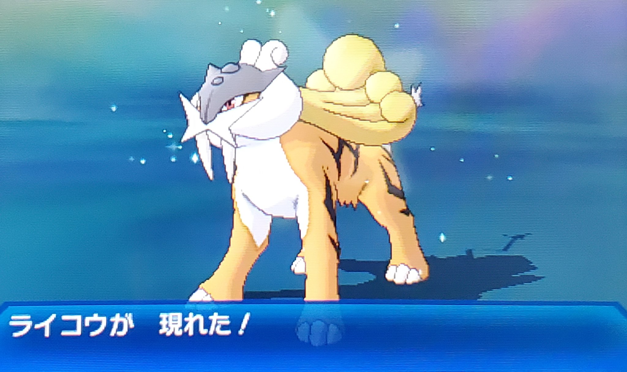 ポケモンusum Twitter Search Twitter