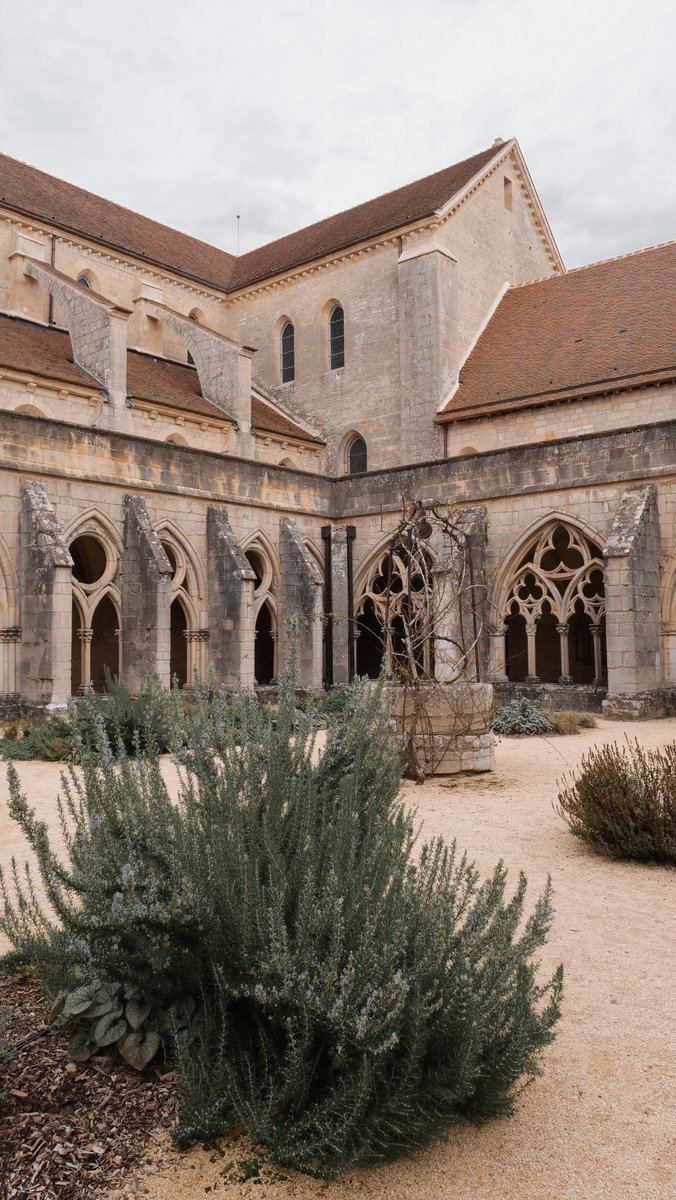 Les couleurs d'automne dans les jardins et le cloître de l'abbaye, on adore pas vous ? 🥰