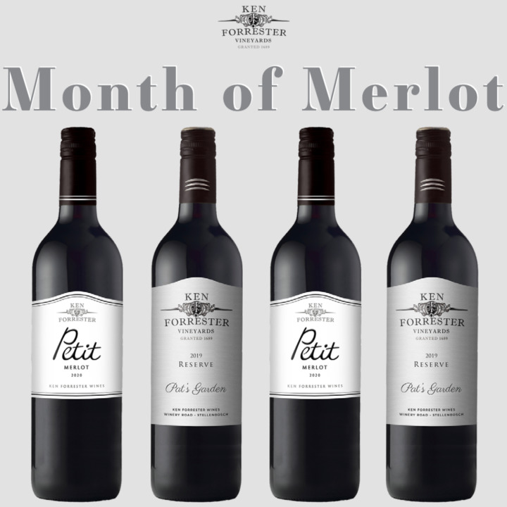 We are still celebrating the amazing variety that is Merlot! Head to our store to take advantage of a 15% savings on our 2 wines dominated by this cultivar! Follow the link for more information. klaviyo.com/campaign/01GHT… #Merlot #monthofmerlot #RedWine #SouthAfrica #Stellenbosch