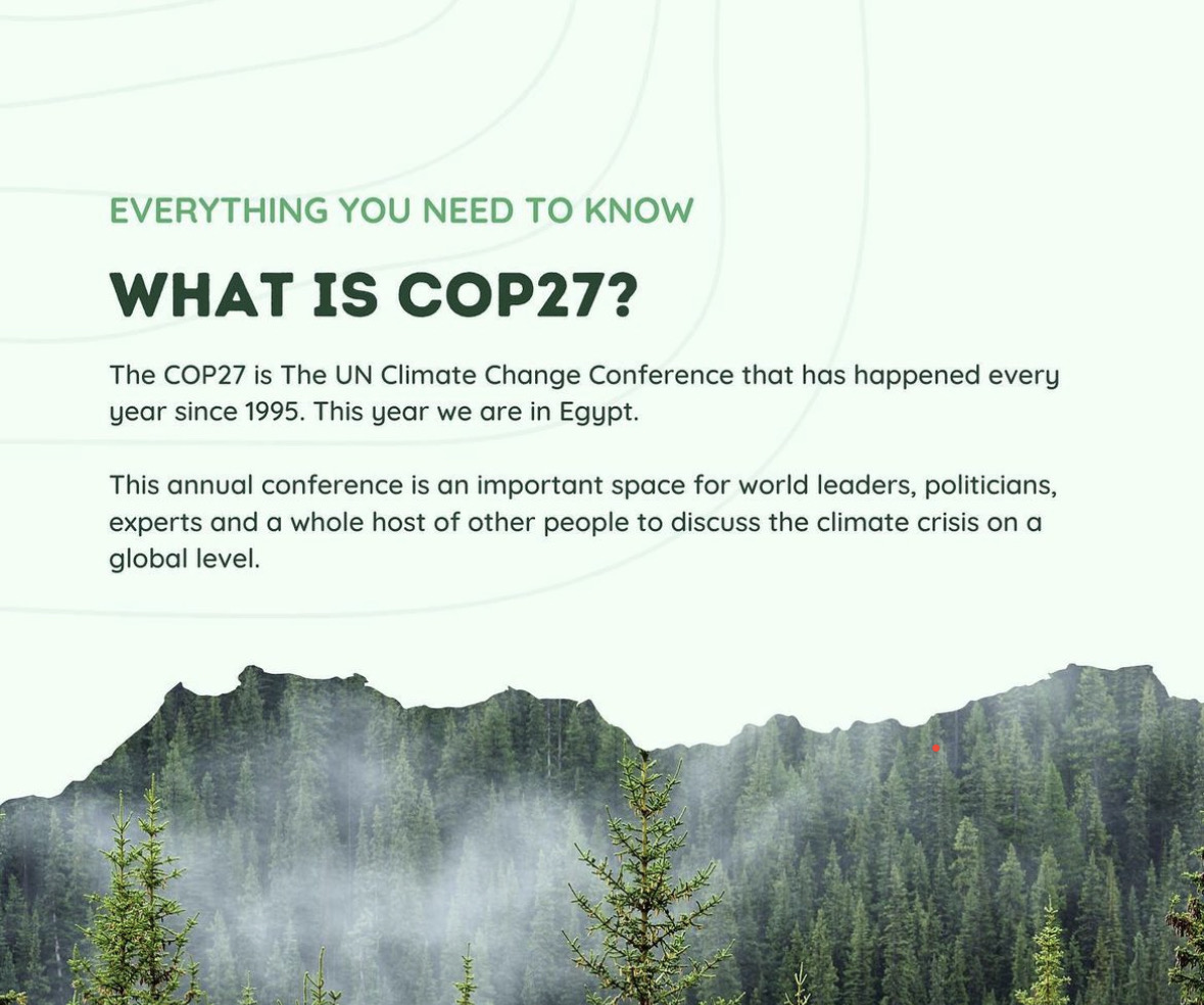 climate_melting's tweet photo. Forests and trees provide a life support system for humanity that will become increasingly important as temperatures rise and weather becomes more volatile. migration. #ClimateAction #climatechangeawareness #climatechangesolution #climatechangeeffects #climatechange https://t.co/5HrvjB185a