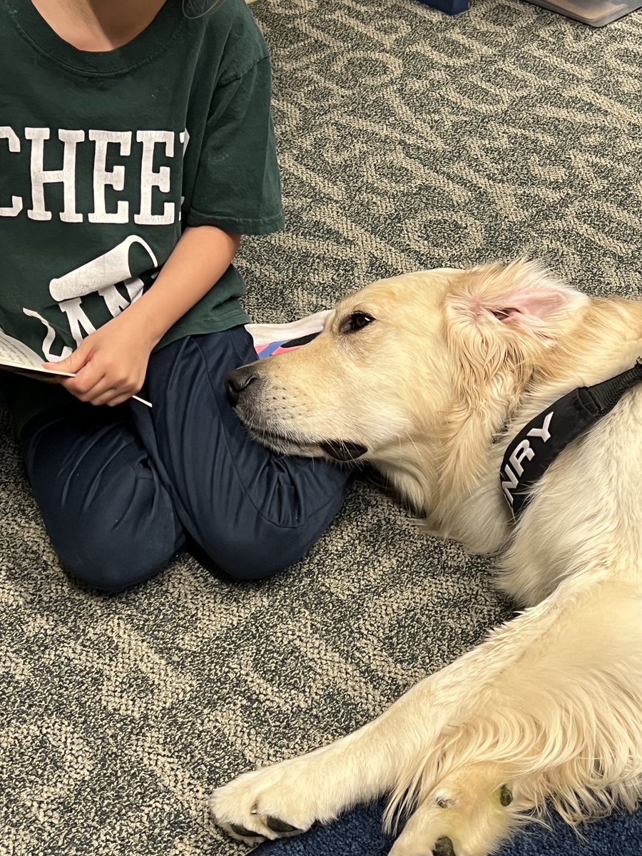 WonderdogHenry's tweet photo. I love hearing students read to me! I know I’m helping build their confidence as they read out loud. It’s a bonus when they let me use them as a pillow! FYI, I don’t lay my head on them unless invited! After all, it’s important to have good manners!🐾⁦@SarpySheriff⁩ https://t.co/nzjX1j5Dx8