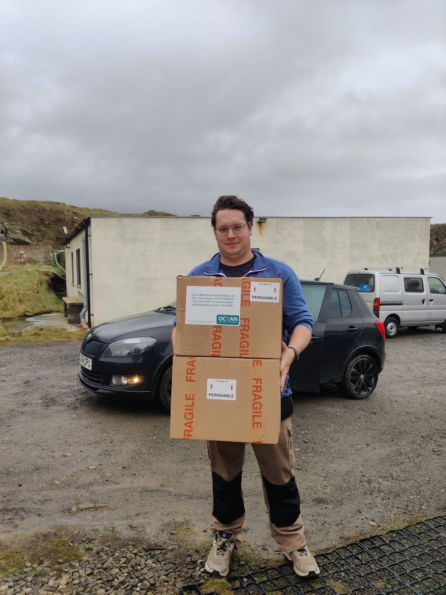 OrkneySH's tweet photo. Today, another 2000 juvenile lobsters leave Orkney for their new home, special delivery to Brightlingsea restocking project.

Brightlingsea was recently kitted out by our sister company @OceanonLandTech, and we were more than happy to send them some lobsters to get started. https://t.co/kbryKYaRbc