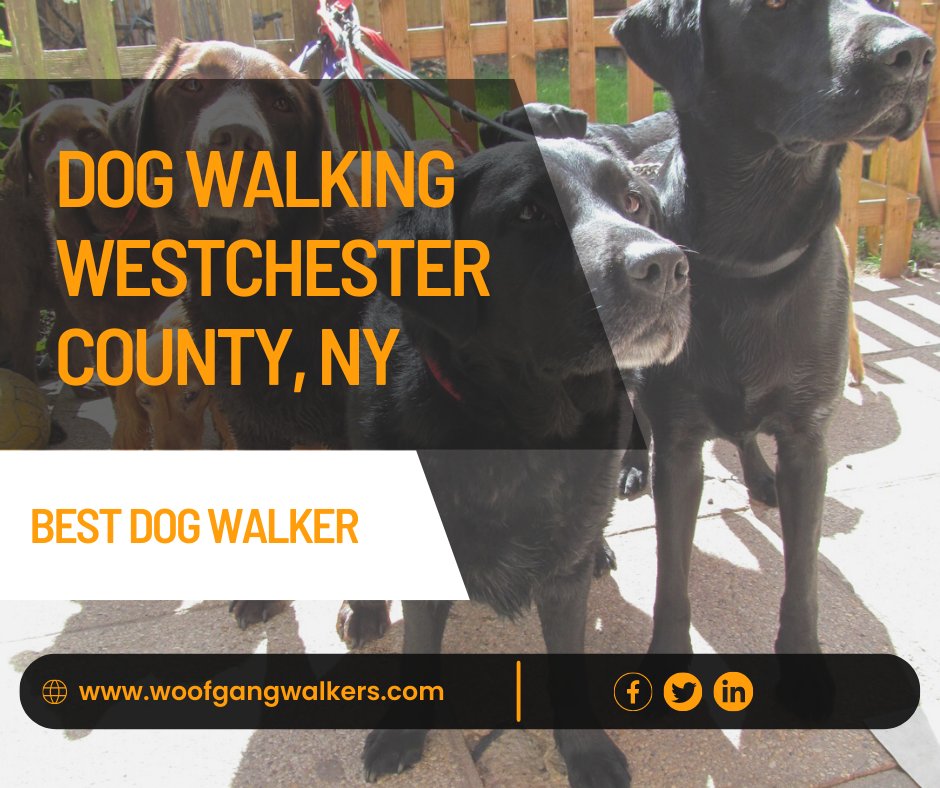 alli_alli4's tweet photo. Dog walking refers to walking with your dog. This is often done with leashes. 
#dogwalking #petsitter #overnightpetsitting 
https://t.co/5hfWLJ9gCW
https://t.co/EuBcXew38S
https://t.co/NlyB5Jw6V4
https://t.co/XdjLXkQ4I1 https://t.co/avB8ZsbvVn