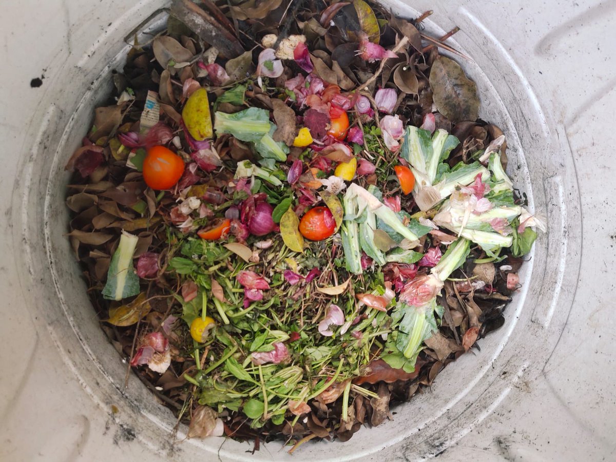 INORA (Know How Foundation) tweet media