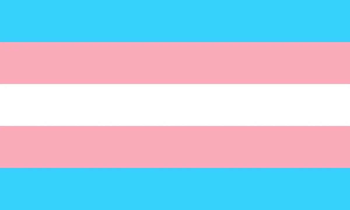 We’re proud to support #TransAwarenessWeek 🏳️‍⚧️

Please join our #TeamCynonTaf family during this time for reflection, for celebration &amp; start conversations around the issues faced by trans, non-binary &amp; gender diverse people, and how we can make a positive difference, together.