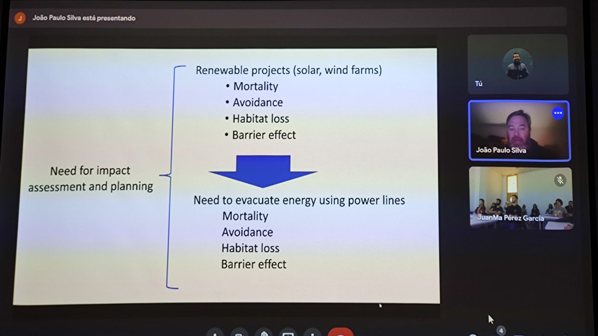 Day 3 of the Animal Movement and Renewable Energy Workshop: João Silva is giving a plenary talk about #animalmovement to assess and prevent animal mortality 🦅 @mariamardelgad1 @JuanMa_PerGar @g_fandos @BIOEAF