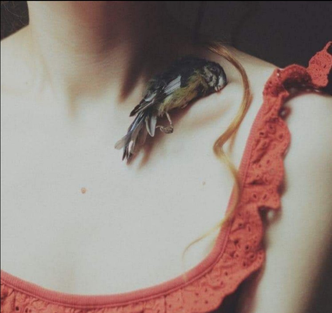 A first sign of the beginning of understanding is the wish to die.
Franz Kafka