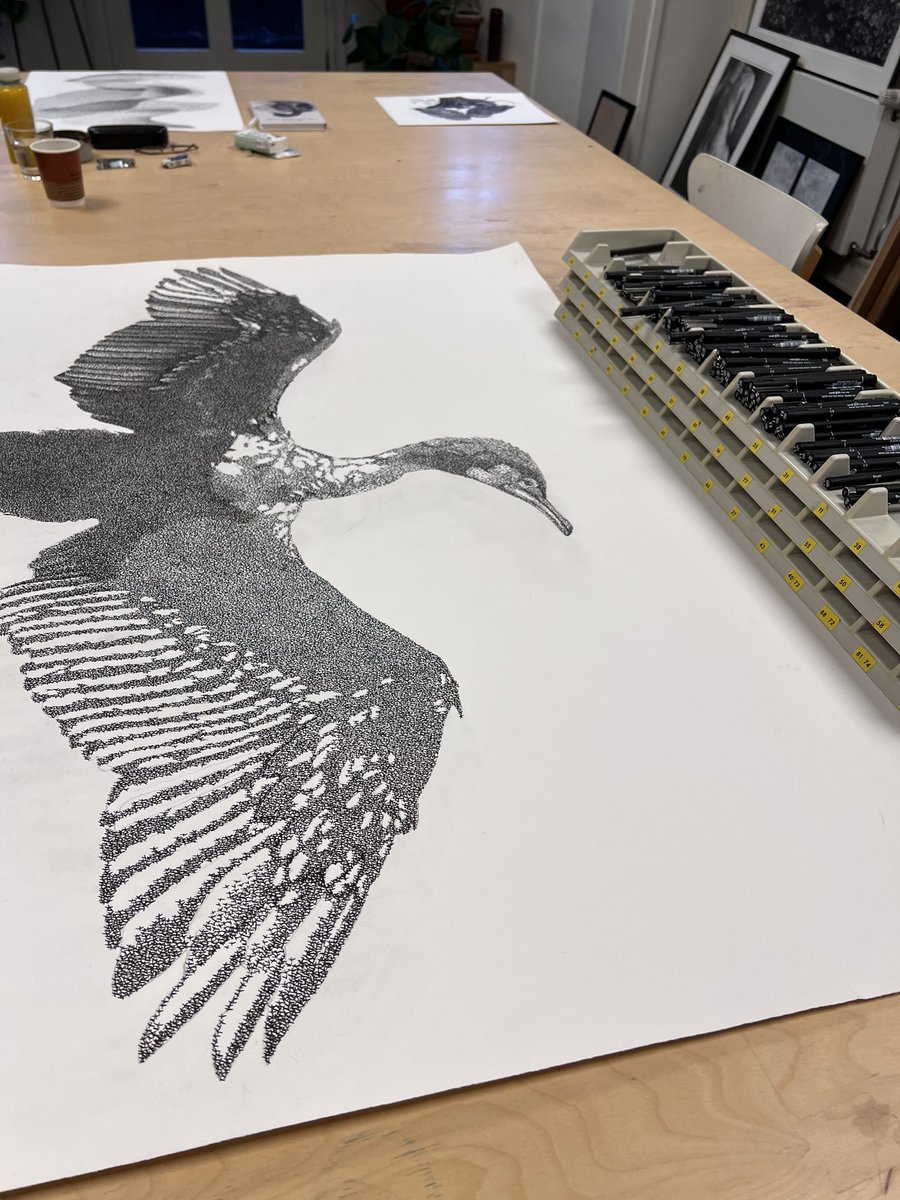 Bas Geeraets 🦉 tweet media