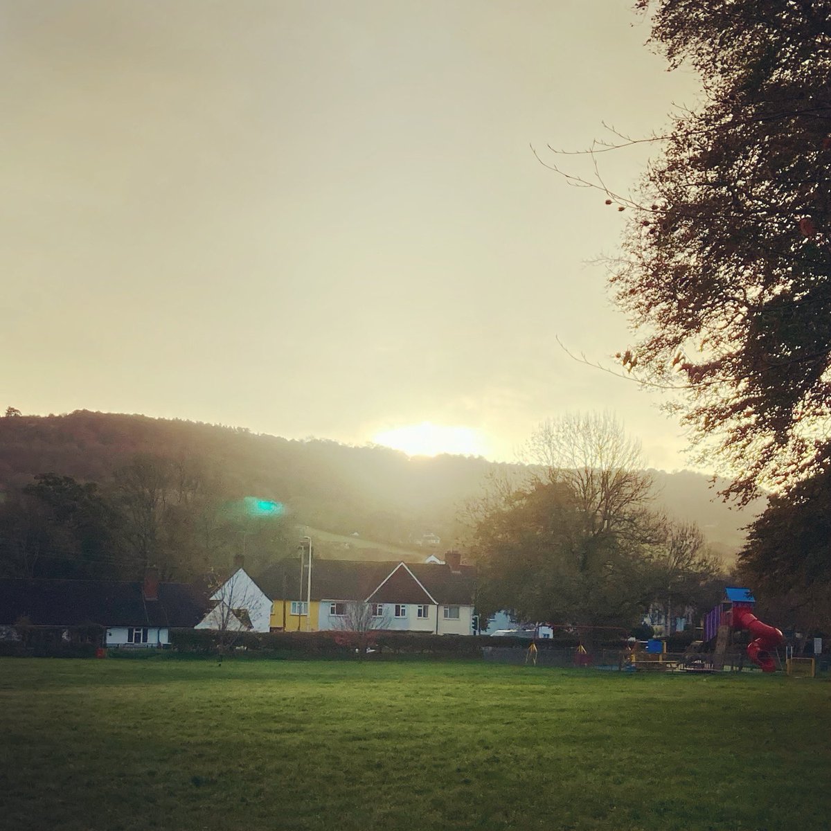 Devon Denizen tweet media