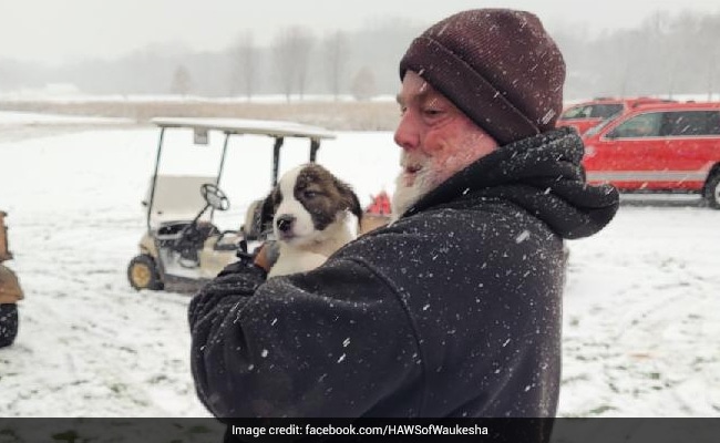 ndtvfeed's tweet photo. Plane With Over 50 Dogs Crash-Lands On Golf Course In US https://t.co/YEjhlhqonp https://t.co/gHA5VbAp5r