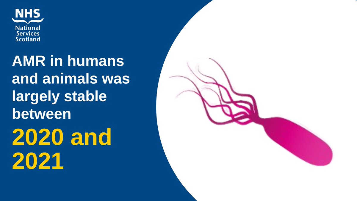 PSDScotland's tweet photo. AMR in humans and animals was largely stable between 2020 and 2021 https://t.co/qal4cKL7qE #SONAAR #ARHAI #WAAW #OneHealth #EAAD #AntimicrobialResistance @SRUC @savsnet https://t.co/ROImVN93af