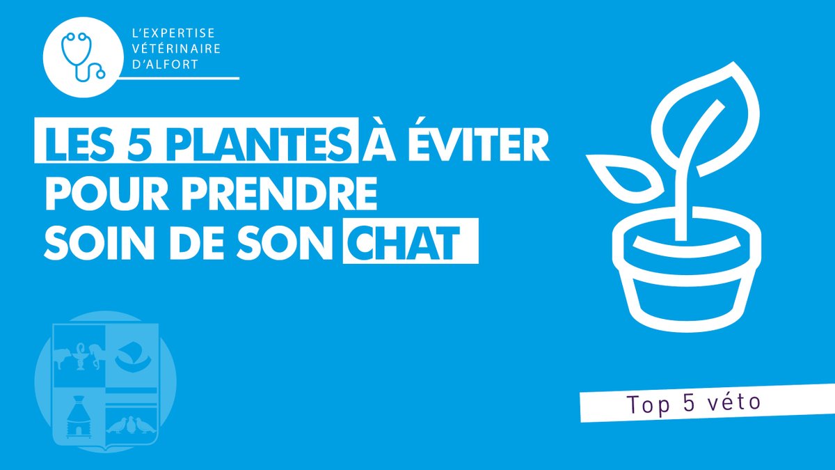 École nationale vétérinaire d'Alfort - EnvA tweet media
