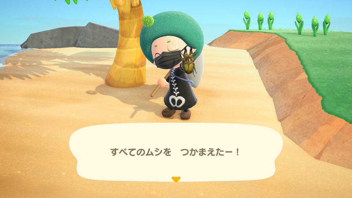 OPKPgm's tweet photo. 穴抜け状態だったいきものたちの捕獲ツアーはこれにて終了～(*´∀`*)ｽｯｷﾘ♪ #どうぶつの森 #AnimalCrossing #ACNH #NintendoSwitch https://t.co/SHsEmjVhwc