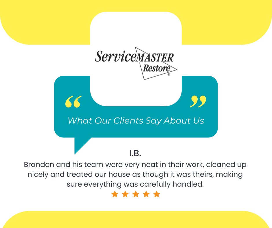 servmaster247's tweet photo. Our customers' feedback is important to us. We're happy to have helped you, I.B.! Don't hesitate to reach out again if you need our help. #Review #Testimonial

 We are available at  (954) 969-5906.

#ServiceMaster #PompanoBeachFL #ServiceMasterRemediationServices https://t.co/5jg5zL0ECN