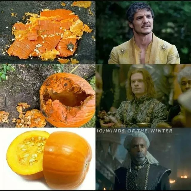 FreeFolkMemes's tweet photo. 🎃 https://t.co/AMbG8lvDsZ