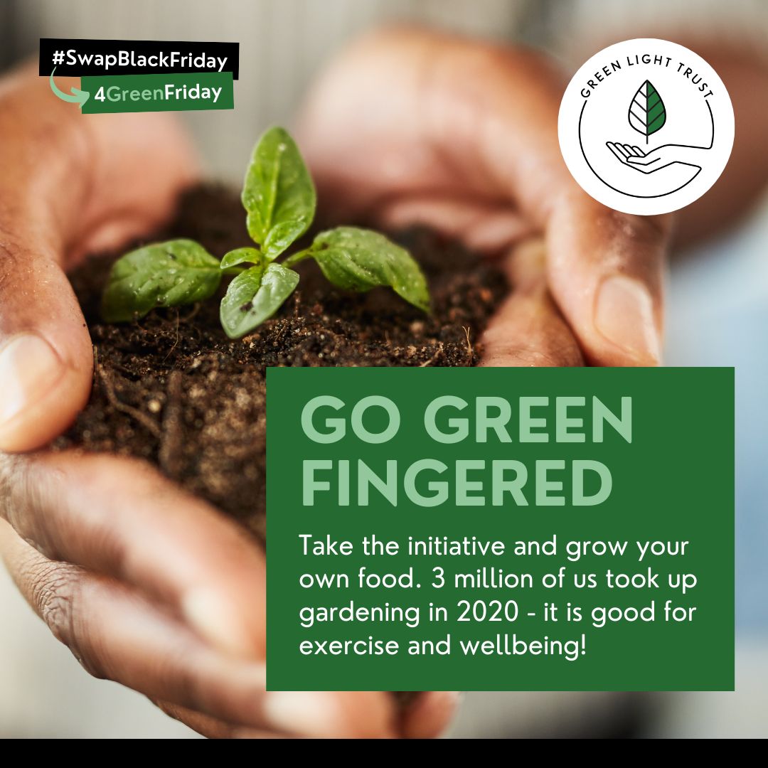 Green Light Trust tweet media