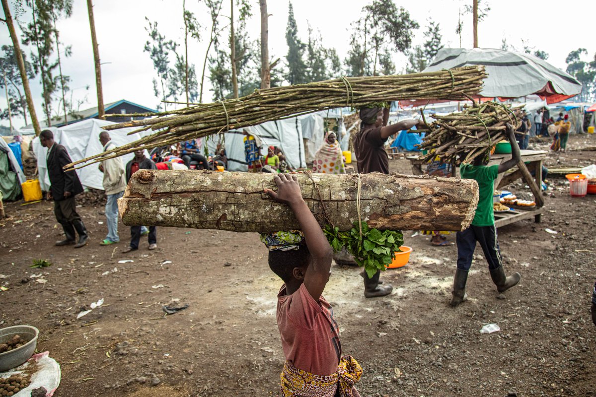 La guerre perpétuelle dans l’Est de la RDC engendre un déplacement massif de la population et touche le système écologique. Des milliers de personnes ont fui le combat entre les FARDC et le groupe armé appelé M23. La protection de notre planète va de pair avec la paix. #planete
