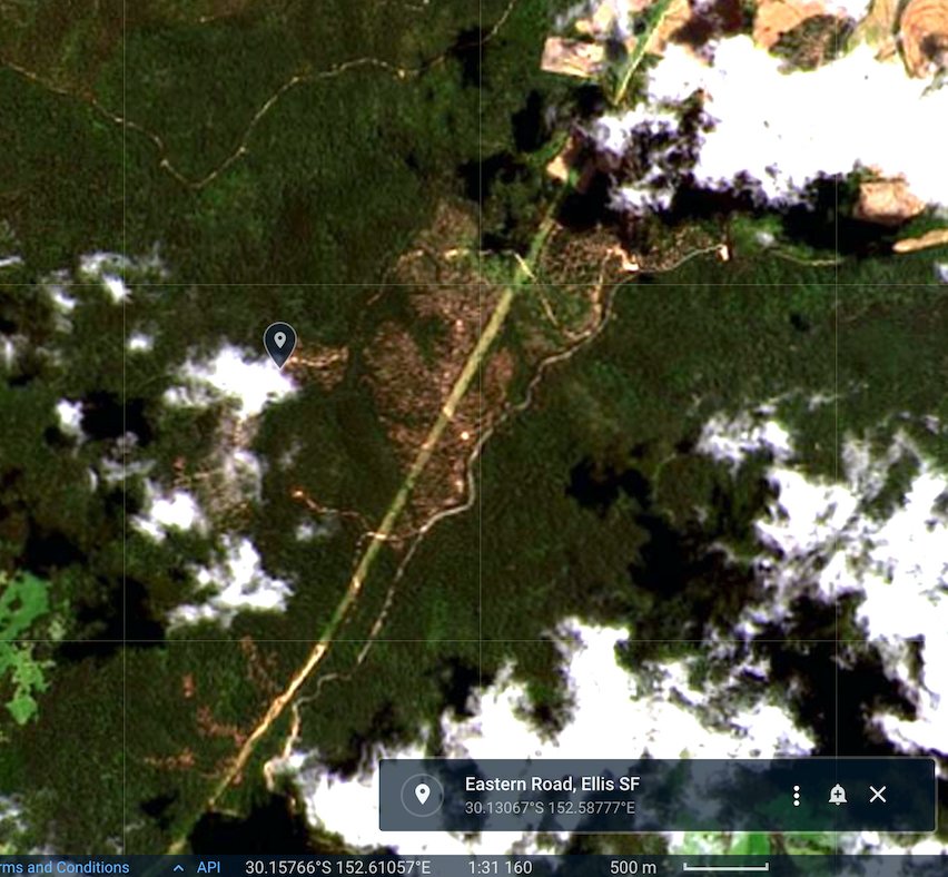 CloudsCreek's tweet photo. Logging at Clouds Creek is disastrous for koalas, greater gliders and other threatened species recovering from 2019 bushfire impacts.
NSW Minister @DugaldSaunders ignored repeated, urgent community warnings about local risks posed by logging in #EllisStateForest. https://t.co/VNsrL5uGdX