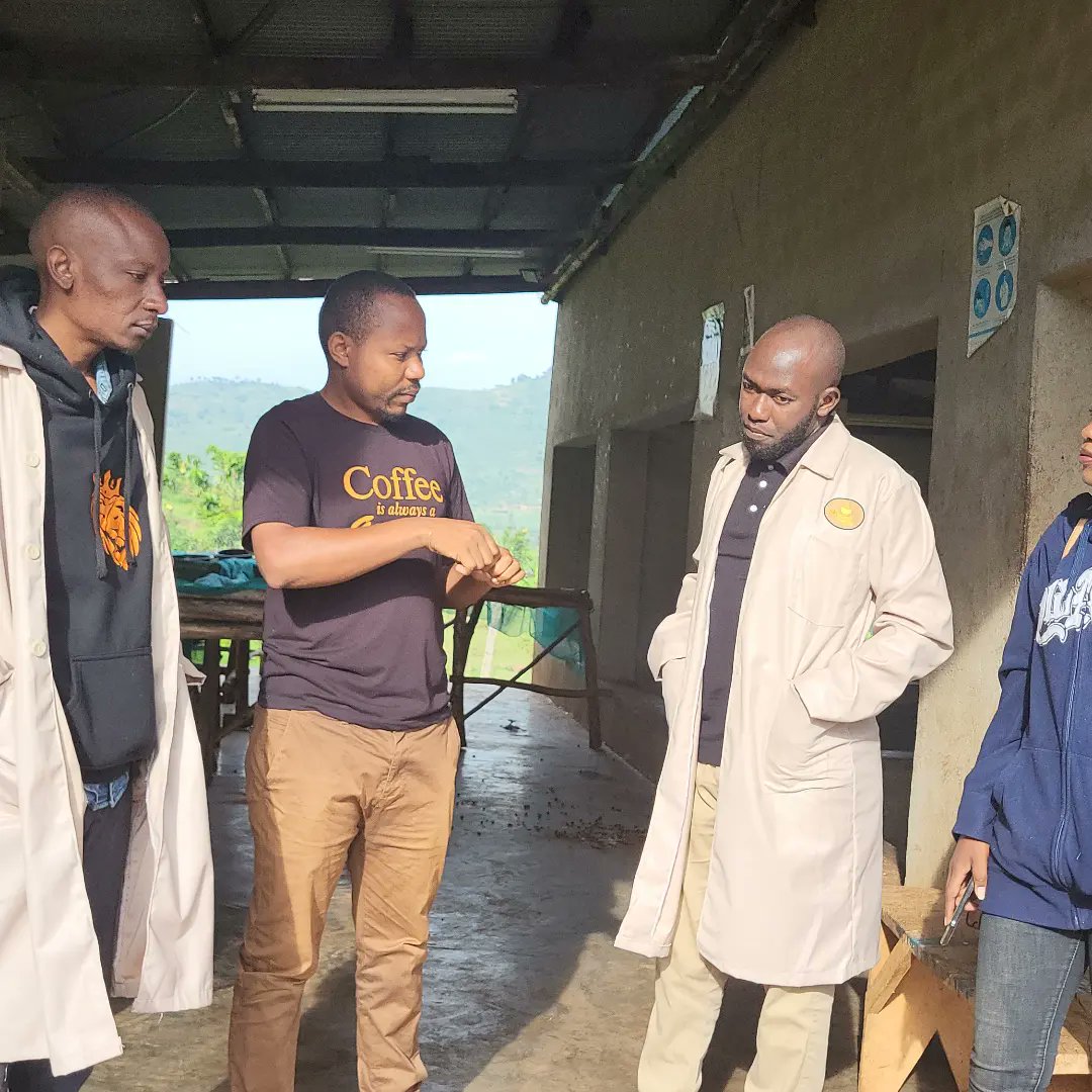 darling_ug's tweet photo. We had an opportunity to visit our longtime partners @ManafaSpecialtySeeds 🌱🍒 at their @KayombeWashingStation in Manafa district. We are much grateful for the great hospitality. ✅
#MtElgonSpecialtyCoffee #CroptoCup
@CoffeeUganda @Baristahouseug @yofchan @AhmedElbarista https://t.co/oq5CDtk8U1