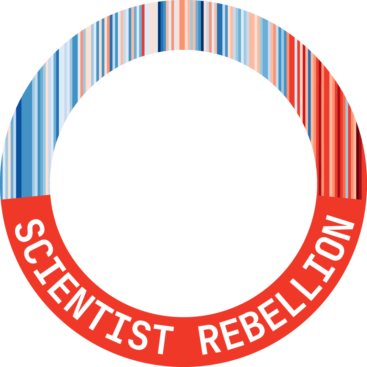 Sara Mansouri 😹 tweet media