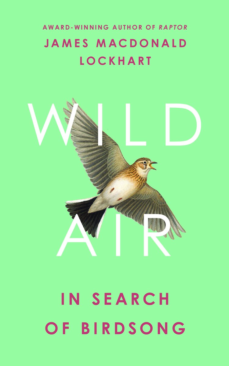 My new book, Wild Air will be published by @4thEstateBooks in April. It’s about 8 fascinating birds: nightjar, shearwater, dipper, skylark, raven, diver, lapwing, nightingale – their songs, and lives.