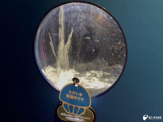enosui_com's tweet photo. 家庭の水槽掃除でも定番の作業ですが…💦

えのすいトリーター日誌
https://t.co/8kanEfuU0Q https://t.co/i8GzJzKHa2