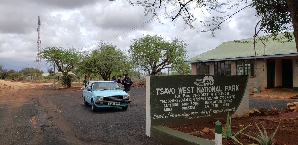 The 53rd consecutive year of ringing migrant birds at Ngulia Safari Lodge in Tsavo West Nat. Park is beginning! We are at the park entrance &amp; received a good welcome from <a href="/kwskenya/">Kenya Wildlife Service</a> customer service. Much rain around - conditions good! #nguliaringing #kslhotels #nguliasafarilodge