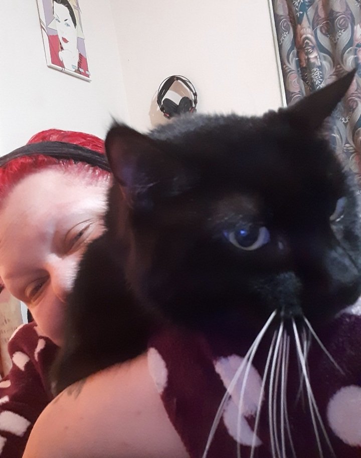 SmudgeyM's tweet photo. Morning Cuddies With Mummum Aimee 🤗❤😺😻😊 @SmudgeyM @ObsidianABlade @LilMissNeate @erosattacks https://t.co/DCGLpbSa5Y
