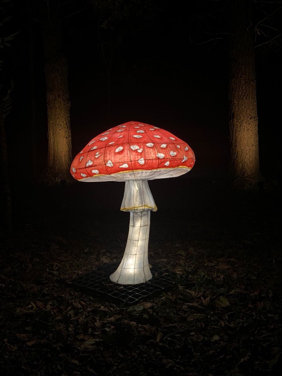 As a mark of appreciation to our NHS, Police and Fire Service key workers, we want to say thank you with a special ticket offer for our winter illuminations. 
To book your tickets as a BlueLightCard holder, use discount code 'HNGBLUE22'.
November dates only, expires on 27th Nov.