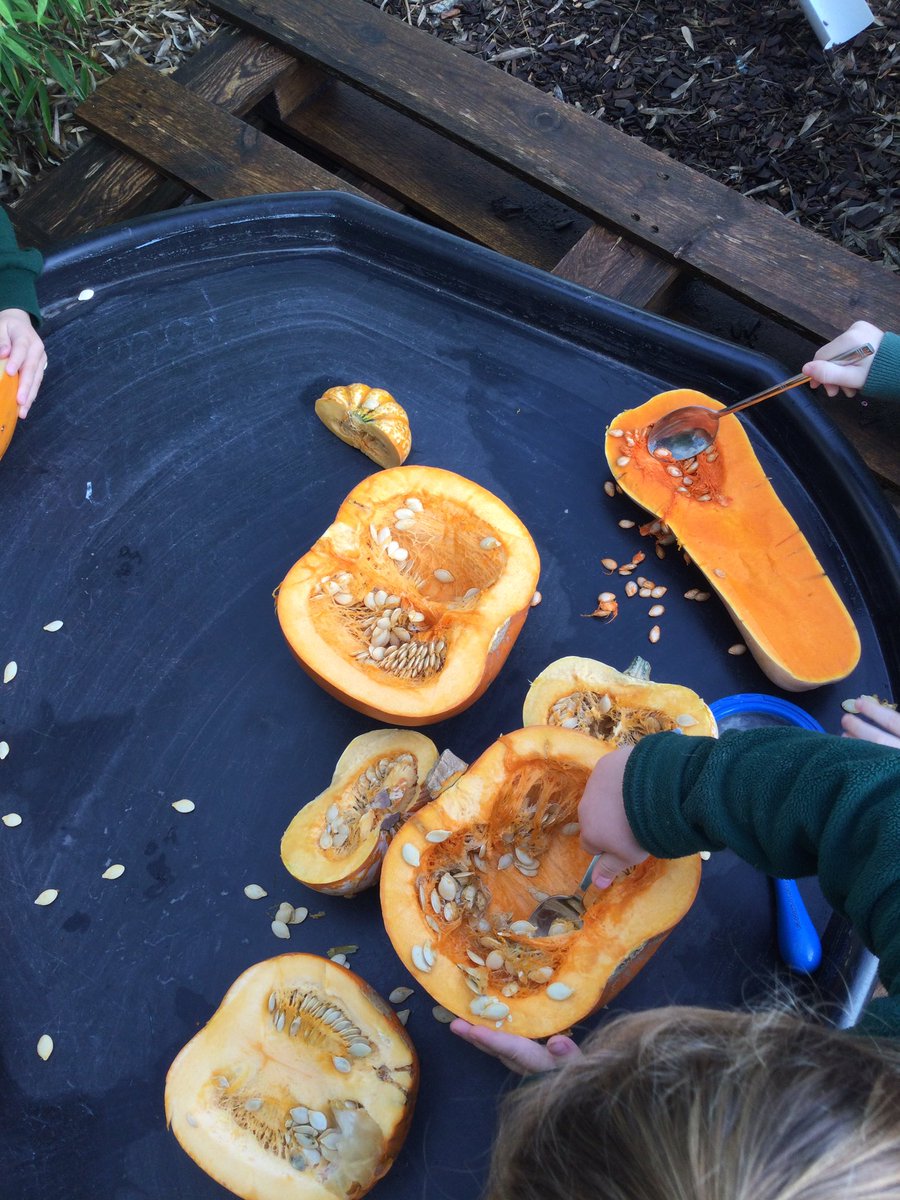 LittleForestNu2's tweet photo. Exploring and scooping out the pumpkins and squashes! 🎃 

Our pumpkins and squashes have lasted a long time and the children have definitely enjoyed them. 

#EYFS https://t.co/tTI61SkkFq