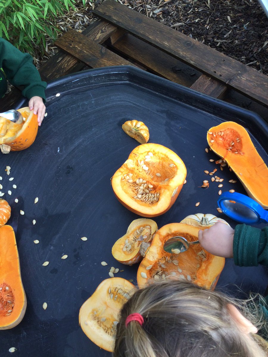 LittleForestNu2's tweet photo. Exploring and scooping out the pumpkins and squashes! 🎃 

Our pumpkins and squashes have lasted a long time and the children have definitely enjoyed them. 

#EYFS https://t.co/tTI61SkkFq