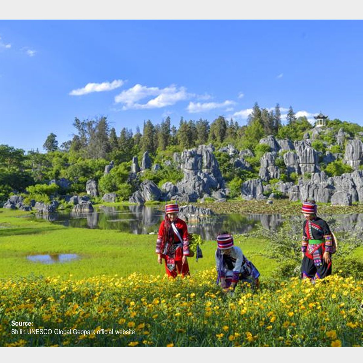 APGN_info's tweet photo. Shilin Karst, limestone pinnacles decorated with sharp barren at #ShilinGeopark
Marine sedimentation ended in Permian &amp; was followed by terrestrial evolution until the present as represented by overlying basalt &amp; lacustrine red beds.

@theIUGS
@unescoEARTH
#First100Geosites https://t.co/p5KFEQdg0K