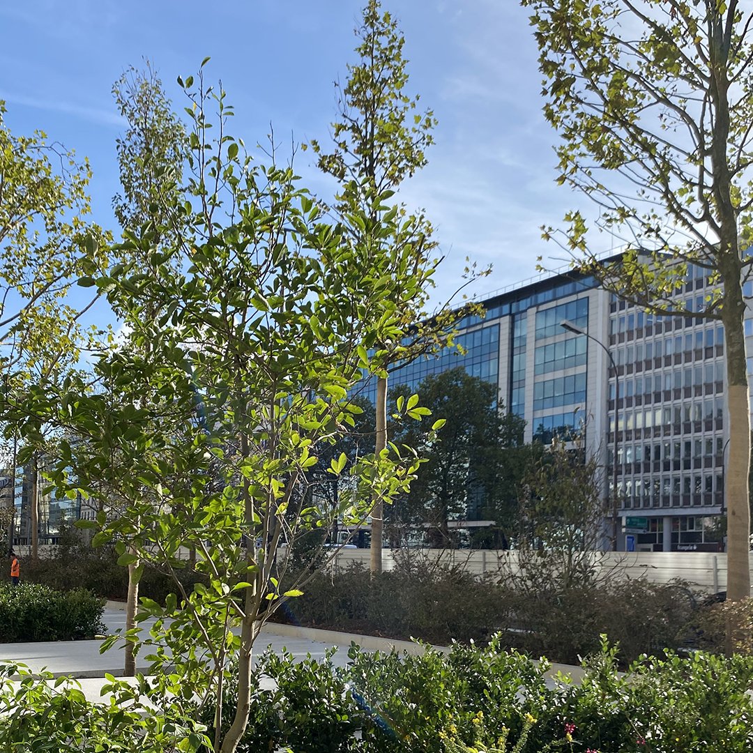 Les Allées de Neuilly tweet media