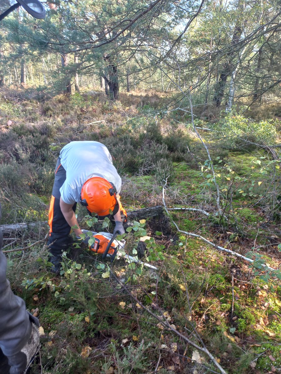 LPABlaRolande's tweet photo. #Chantier #école -17 au 21 octobre
Les élèves de 2nde NJPF #nature #jardin #paysage #forêt se sont déplacés sur un chantier école dans le massif de Fontainebleau : travaux de #débroussaillage + #abattage pour l’accueil du public + réalisation de bancs avec l’ @ONF_Officiel https://t.co/tB3ceGCyrI