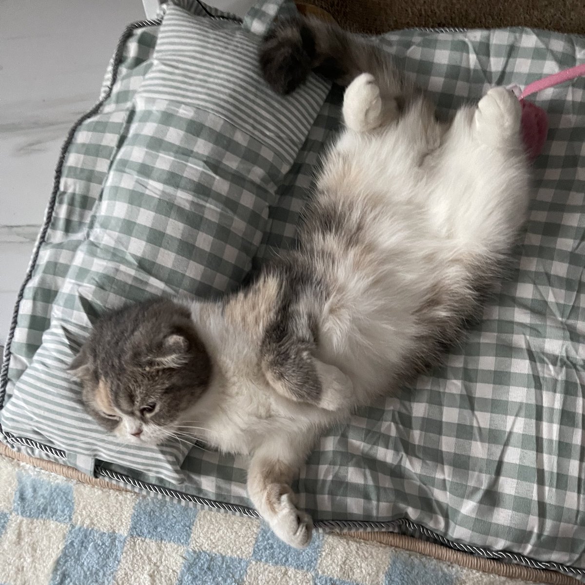 สบายไปมั้ยลู