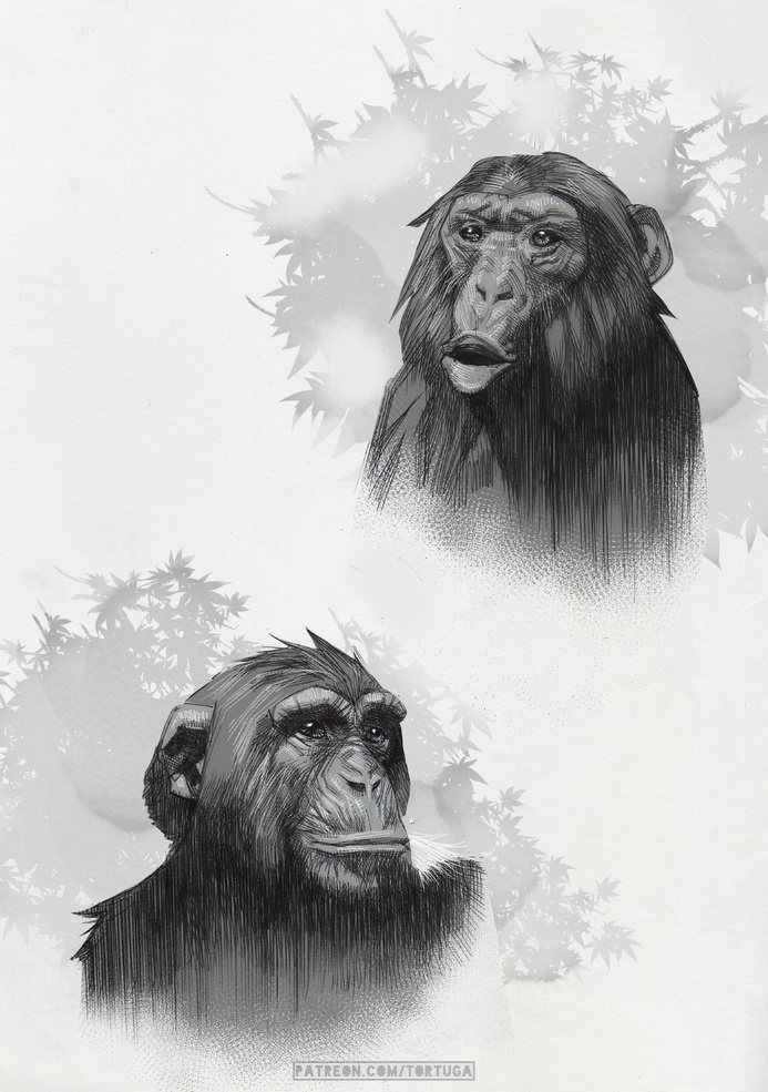 some pen drawings with digital tones :D