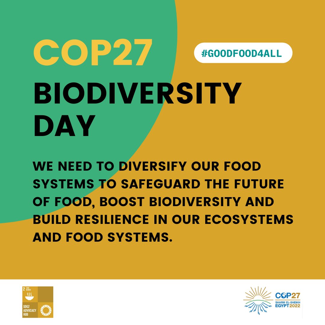 SDG2AdvocacyHub on Twitter "Thematic day 7 COP27 is biodiversity
